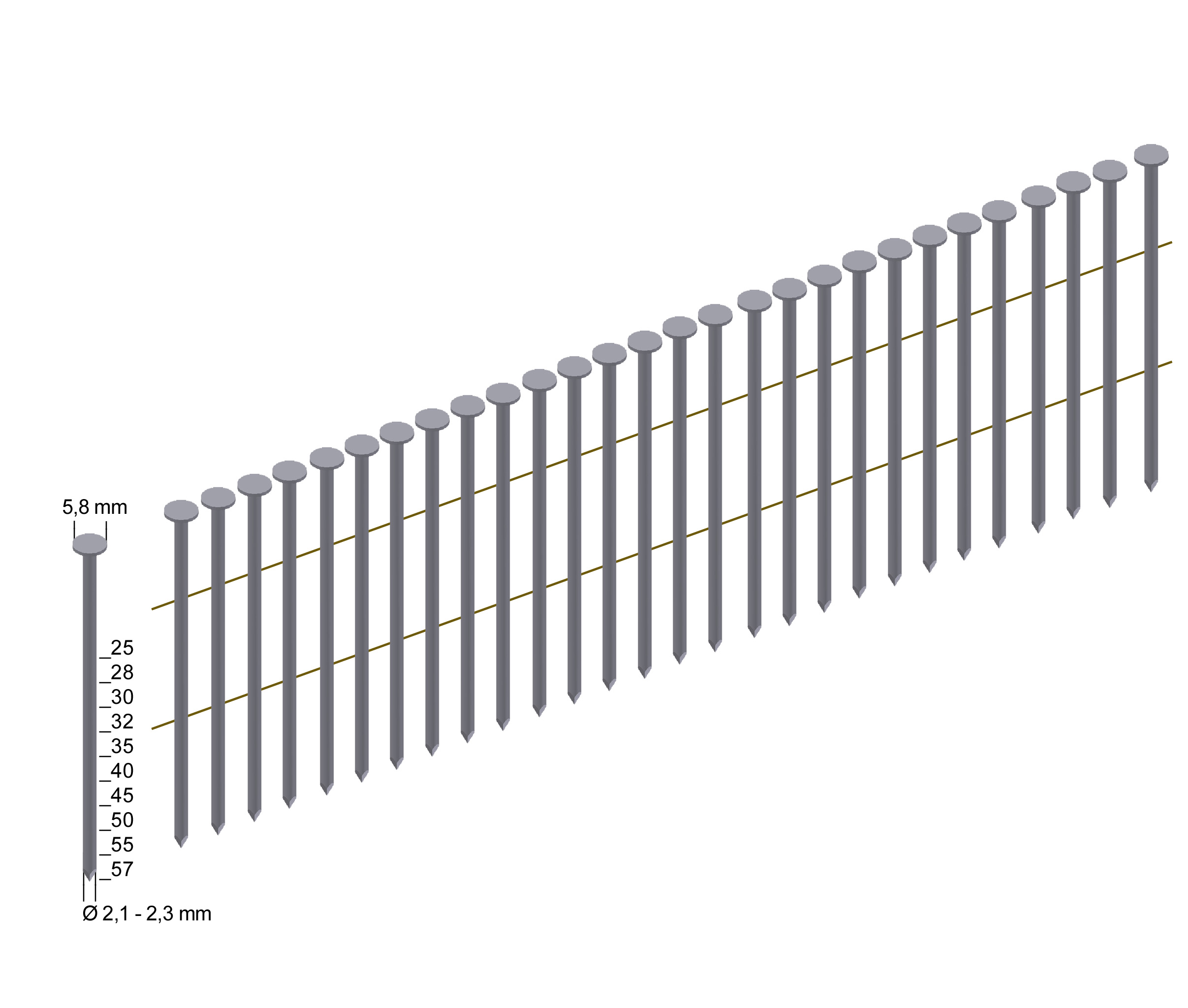 CNF21/50BKRI Coilnägel blank Ringschaft